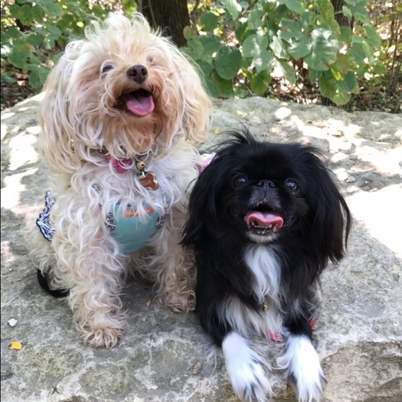 Bookmark My Closet - Picture 2 of 6